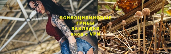 первитин Богородицк