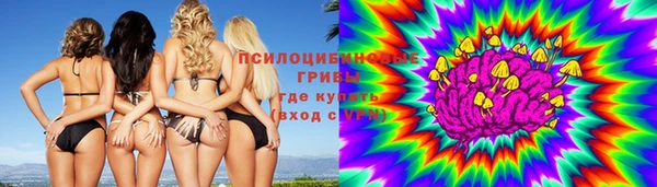 первитин Богородицк