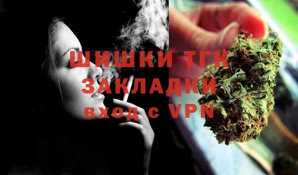 гидра Белокуриха